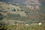 bostronizo