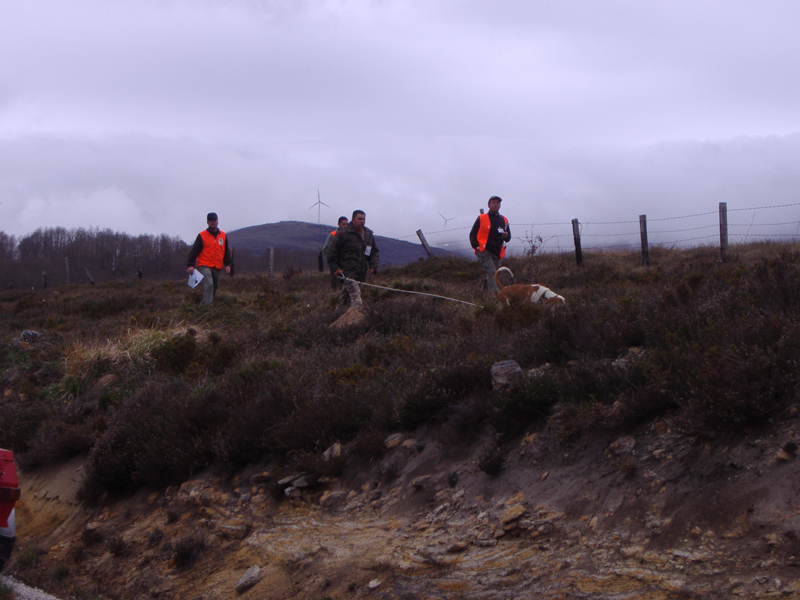 Participante tanda clasificatoria de la ma&ntilde;ana
