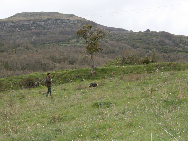 Rafael Cos&iacute;o durante su participaci&oacute;n en la Final