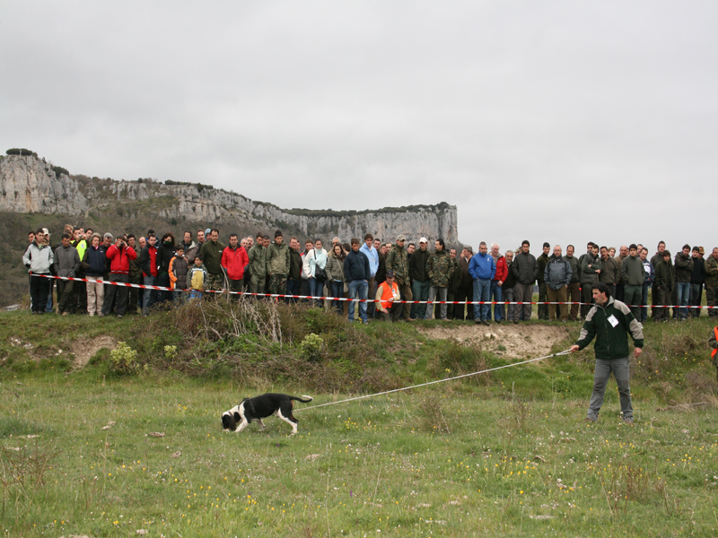 Rodrigo P&eacute;rez durante la Final