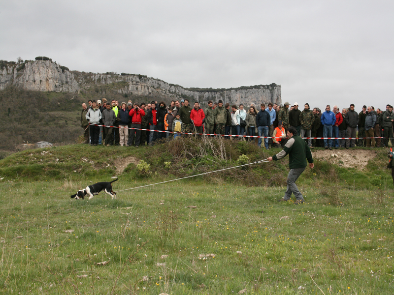 Rodrigo P&eacute;rez durante la Final