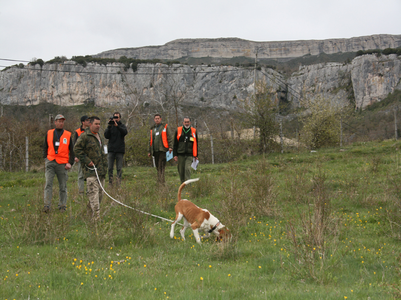 Dario Ab&iacute;n durante su participaci&oacute;n en la Final