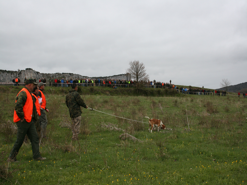 Participante durante la Final seguido de los Jueces