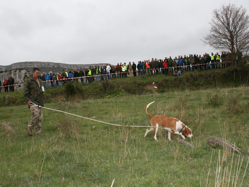 Dar&iacute;o Ab&iacute;n