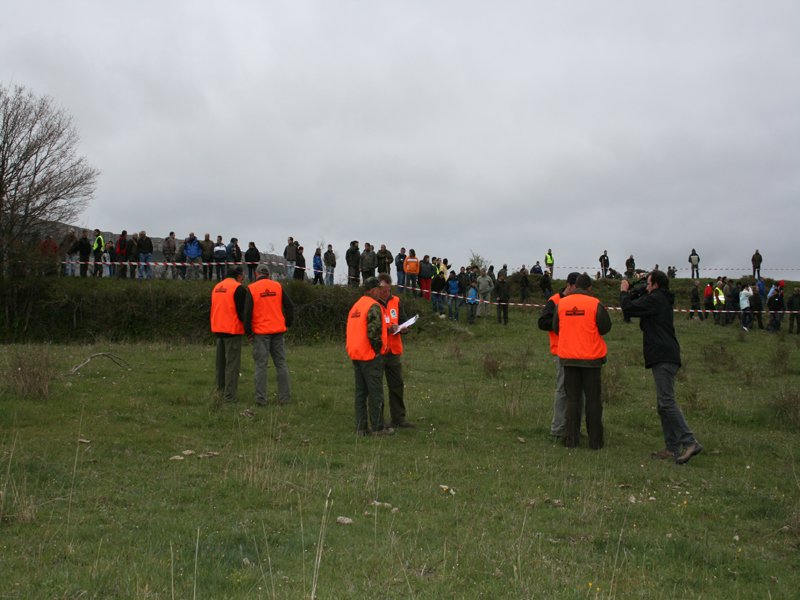 Jueces deliberando durante la Final