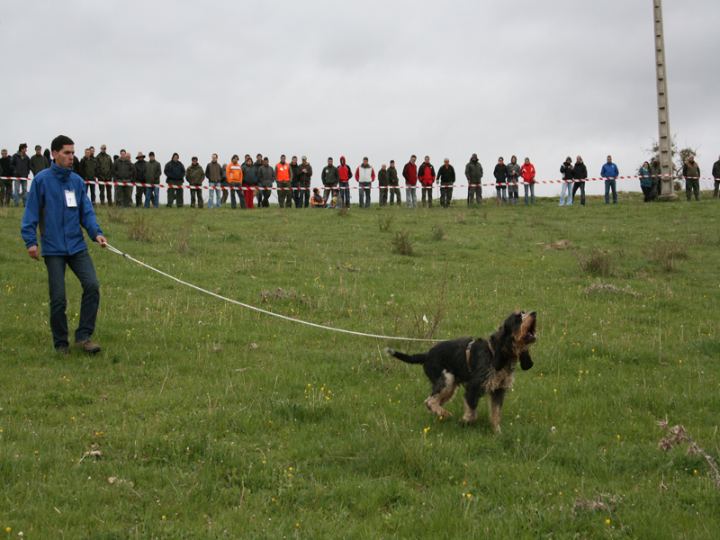 El asturiano Ivan Foncueva durante la Final