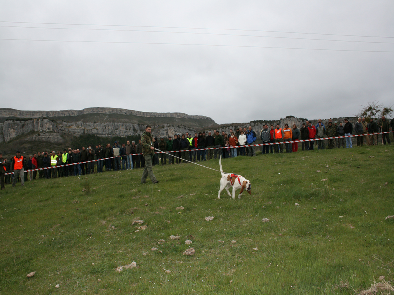 Miguel Angel S&aacute;nchez