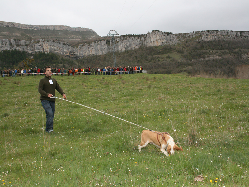 Ramiro Vega durante su participaci&oacute;n en la Final