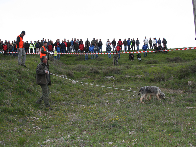Ricardo D&iacute;az, campe&oacute;n regional Castilla-Le&oacute;n 2009