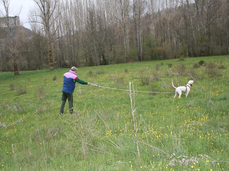 Enrique Ruiz, Campe&oacute;n XII Copa Cantabria Rastro Jabal&iacute; 2009